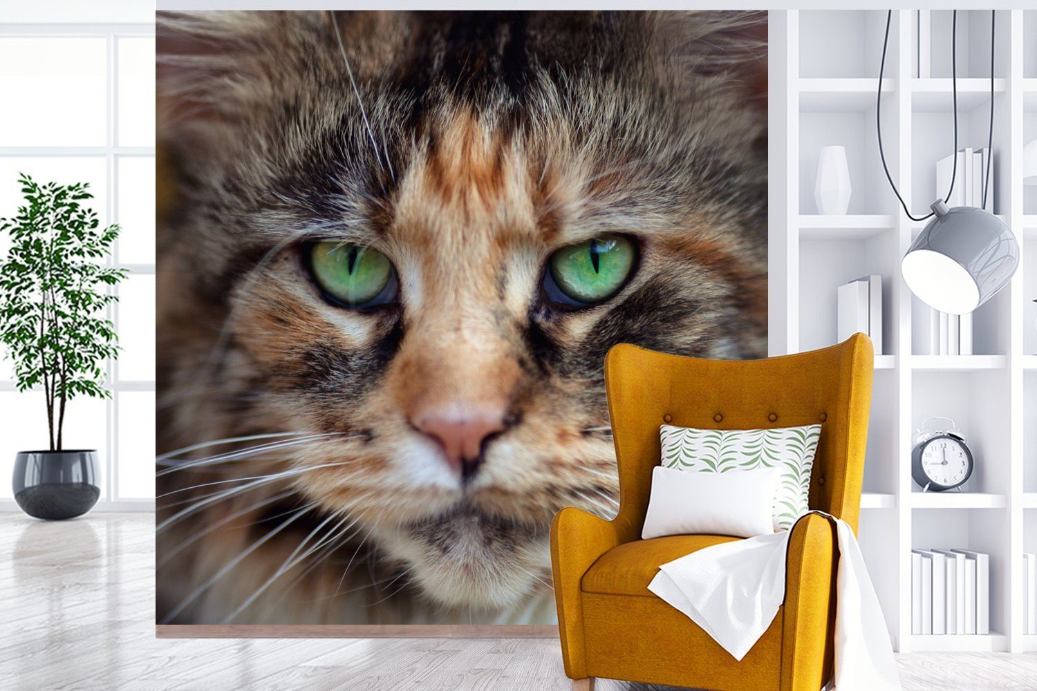 Augen, grünen MuchoWow Matt, oder Wohnzimmer für Maine mit Schlafzimmer, Vinyl Tapete (5 Fototapete bedruckt, St), Wandtapete Coon Katze