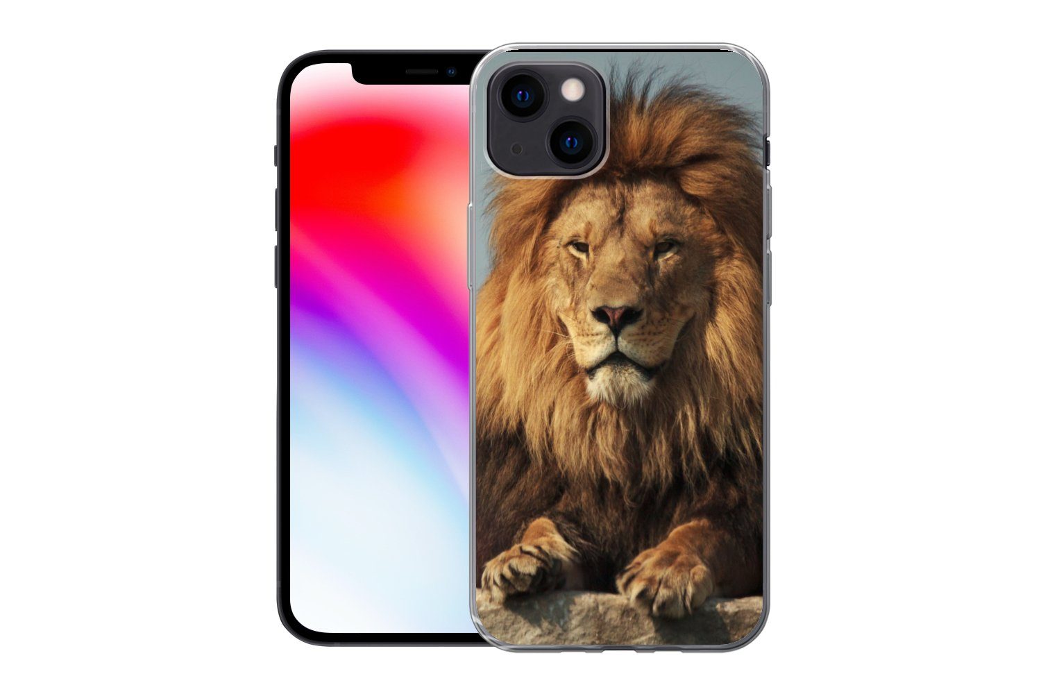 MuchoWow Handyhülle für Apple iPhone 13 Löwe - Felsen - Porträt, Smartphone-Bumper, Print, Handy Schutzhülle Dünn