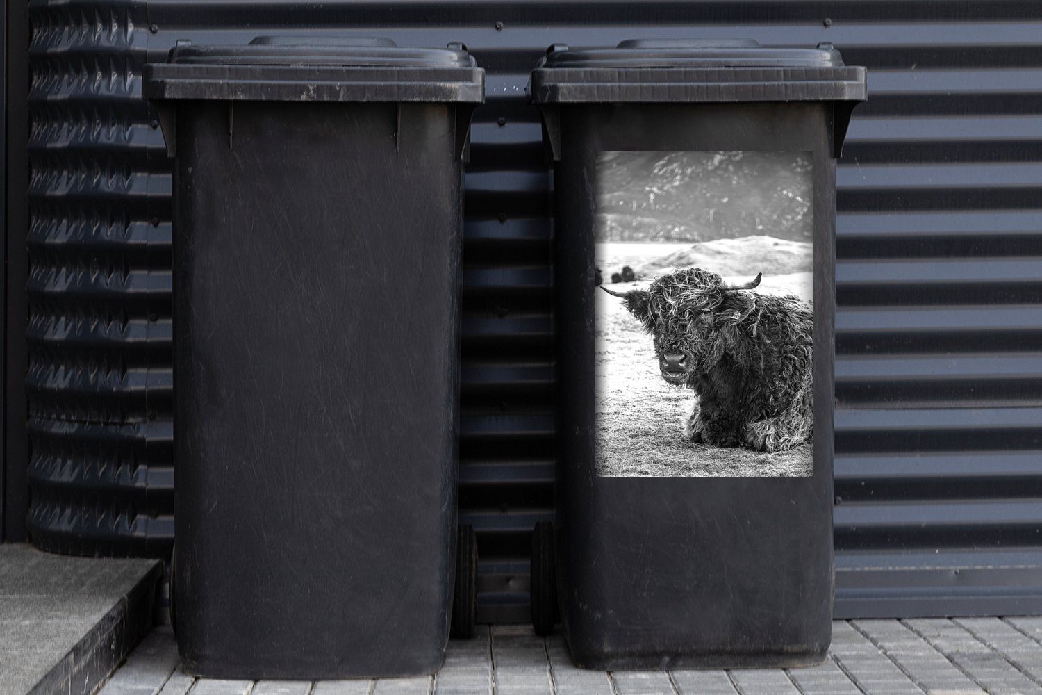 St), (1 Wandsticker Mülltonne, Schottischer MuchoWow Container, Abfalbehälter - Mülleimer-aufkleber, - Tiere Highlander Sticker, Berg