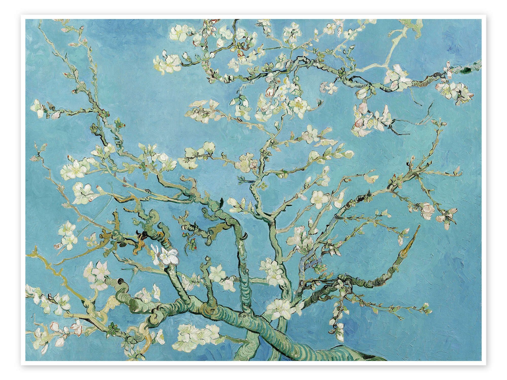 Posterlounge Wandbild Mandelblüte, Vincent van Gogh, erhältlich als Poster, Leinwandbild, Wandsticker oder Acrylglasbild