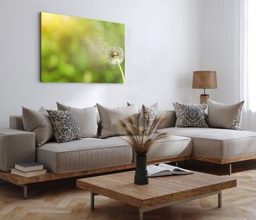 Sinus Art Leinwandbild 120x80cm Wandbild auf Leinwand Natur Pusteblume Grün Sommer Sonnensche, (1 St)