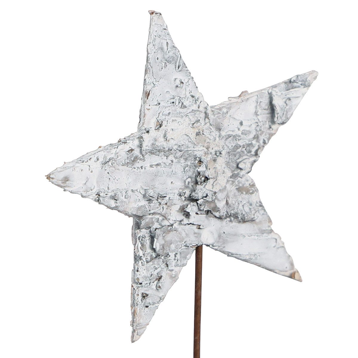Florists Products Weihnachtsmann Birkensterne am Draht, Weiß 6cm, 24 St - Weihnachtliche Deko, 24 Stück