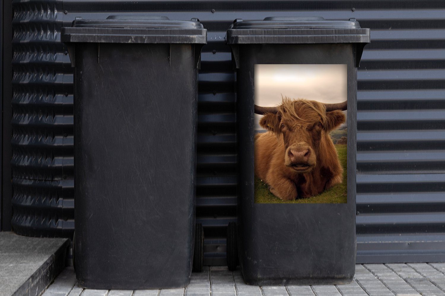 Abfalbehälter - Container, Berg Sticker, Mülltonne, Schottischer Wandsticker MuchoWow Tiere Mülleimer-aufkleber, - Highlander St), (1