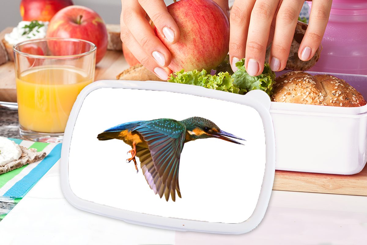 MuchoWow Lunchbox Eisvogel - Fliegen Brotbox Tiere, weiß für (2-tlg), Mädchen Kunststoff, - Brotdose, Kinder und Jungs und für Erwachsene