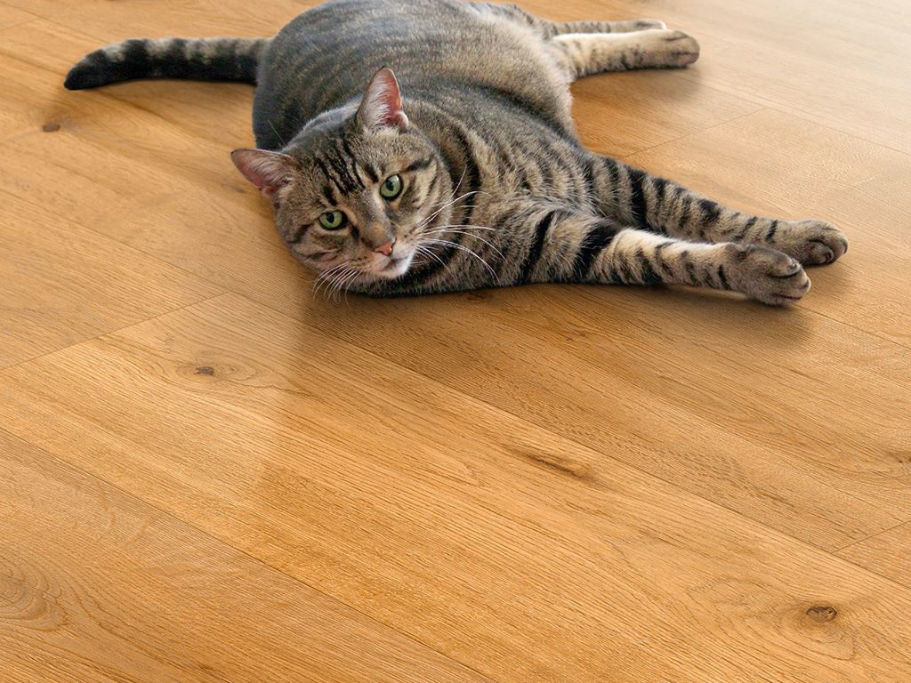 BASICfloor Designboden Designboden Trend Green Vinyl Strandeiche Landhausdiele