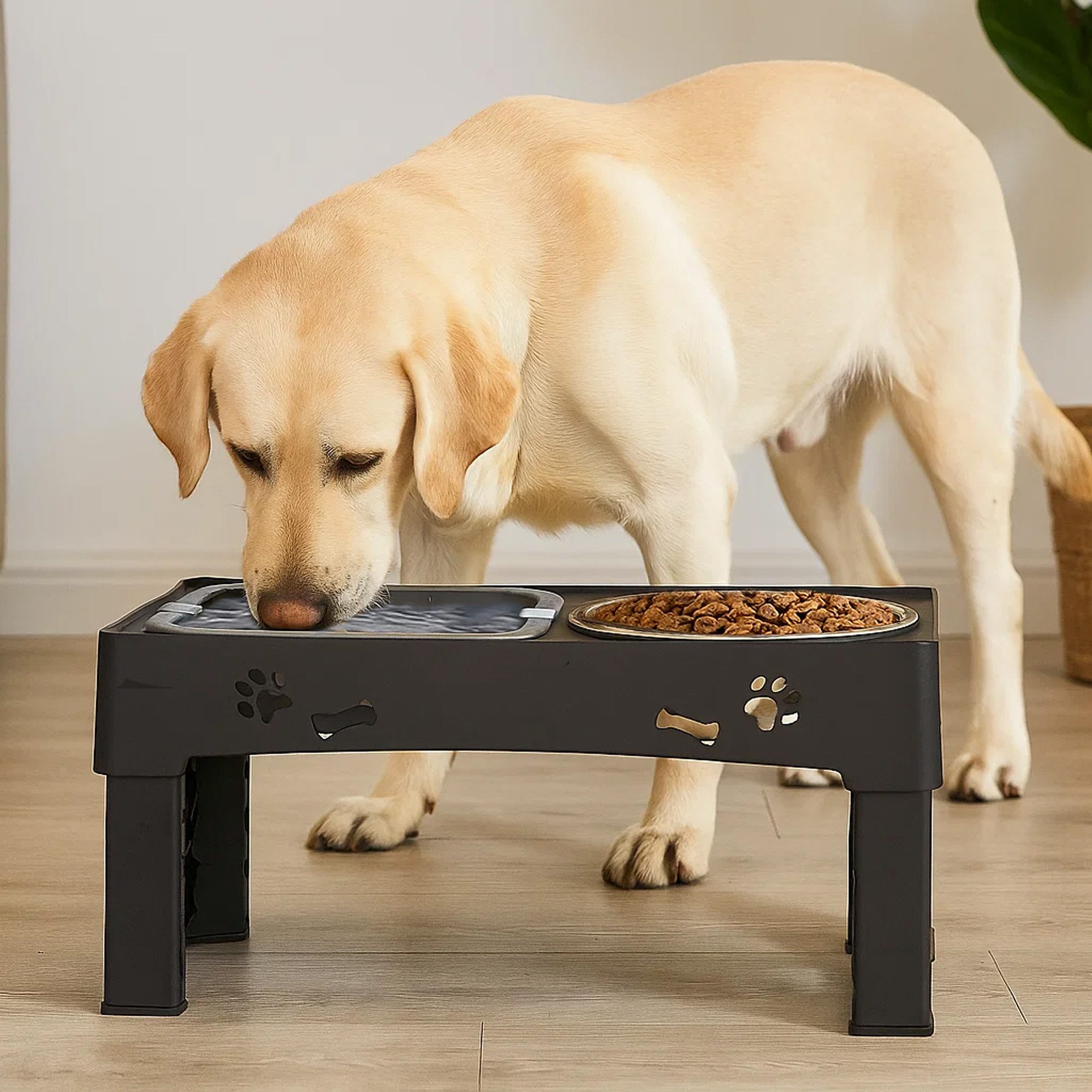 CALIYO Futternapf Adjustable Elevated Dog Bowls Raised Dog Bowl 5 Heights, Edelstahl, 2-in-1 Auslaufsicherer Wassernapf und Edelstahl-Futternapf