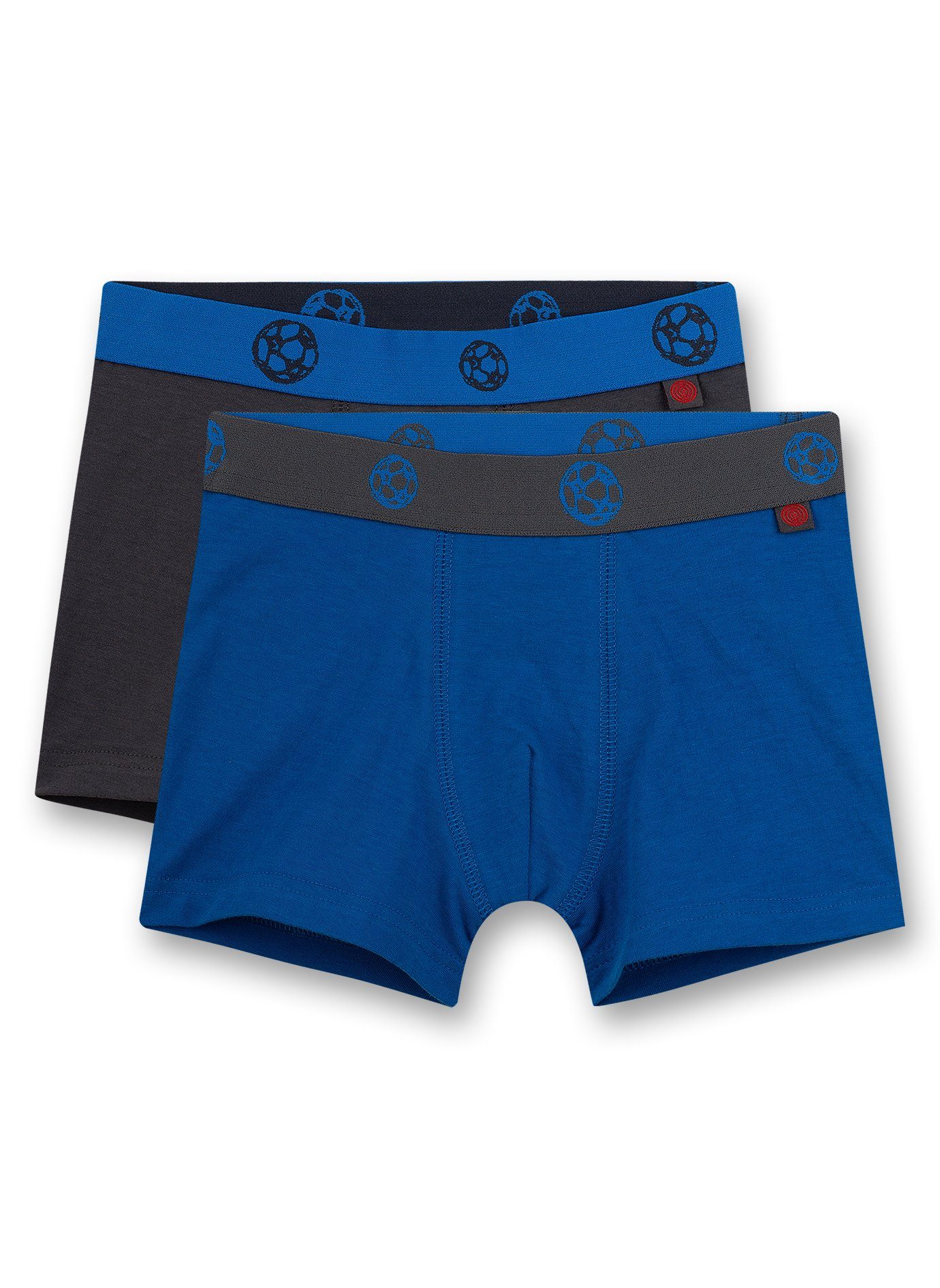Boxer