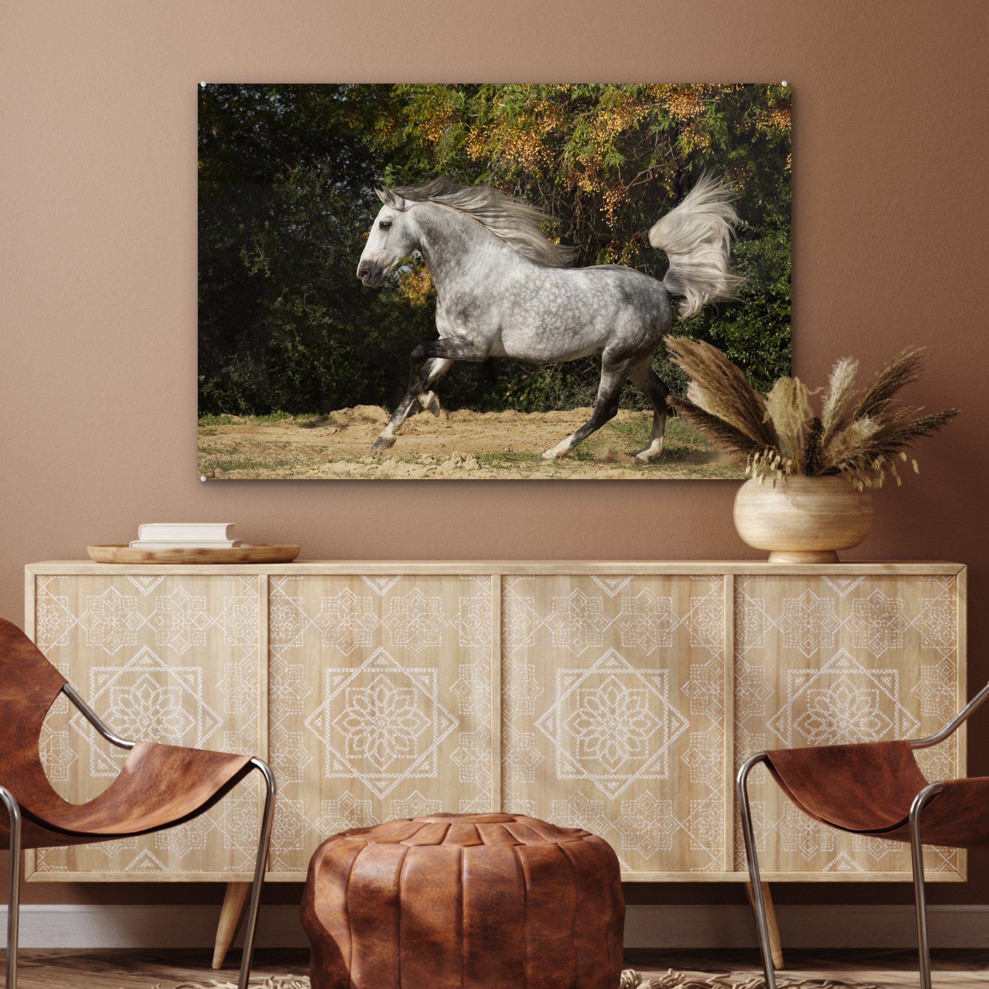 - Wohnzimmer Pferd Acrylglasbilder Gras, MuchoWow St), Weiß Schlafzimmer (1 Acrylglasbild Andalusier - - &