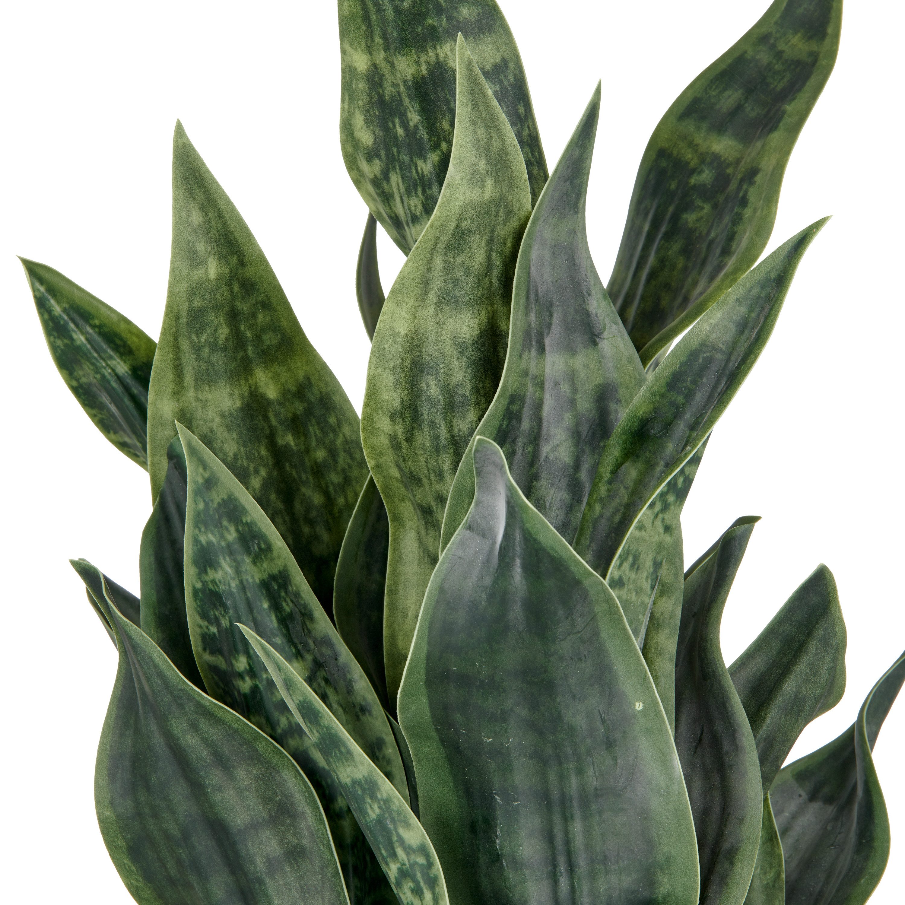 Kunstpflanze Sanseveria Grey Stripe, Creativ green, Höhe 66 cm, im eleganten Pflanzgefäß