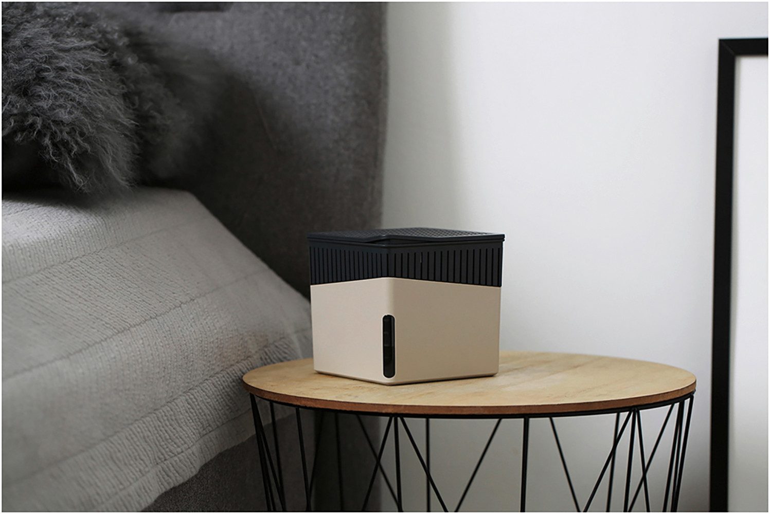 WENKO Luftentfeuchter Modell Cube, für 40 günstig online kaufen