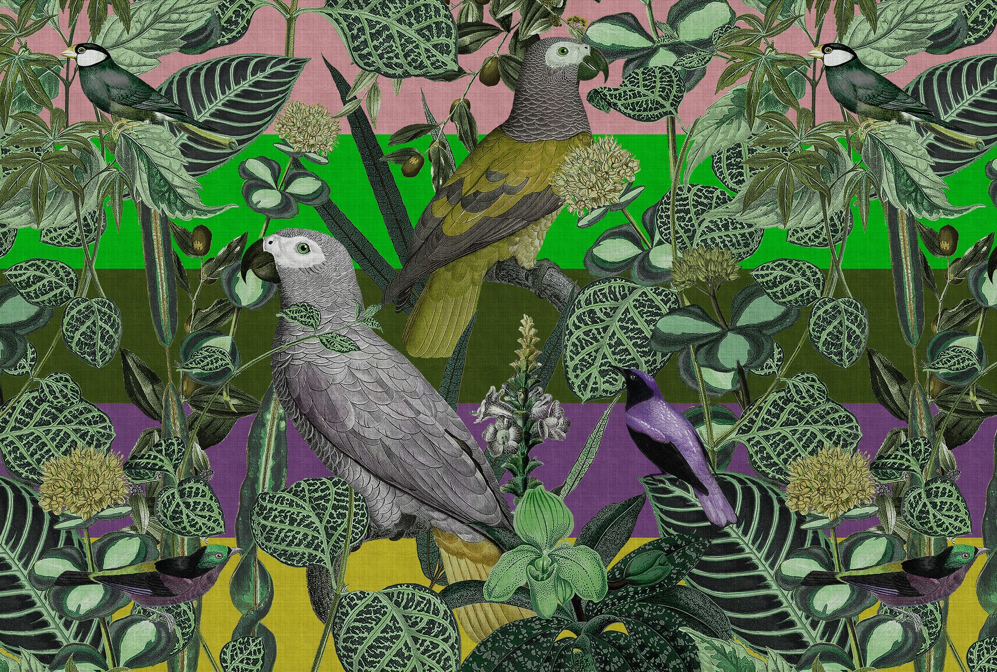 living walls Vliestapete Papageien-Tapete Bunt – Exotische Mustertapete, glatt, matt, (1 St)