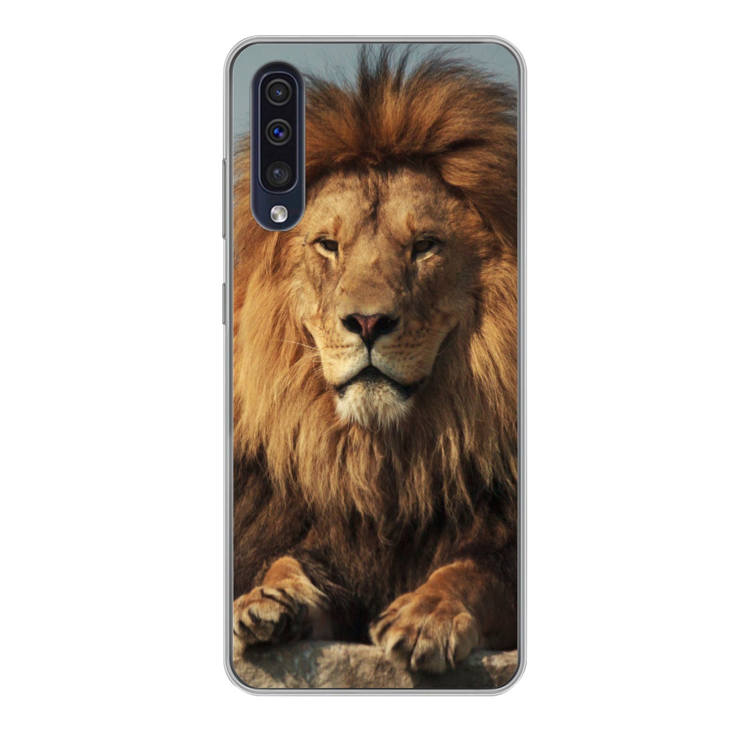 MuchoWow Handyhülle für Samsung Galaxy A50 Löwe - Felsen - Porträt, Smartphone-Bumper, Print, Handy Schutzhülle Dünn