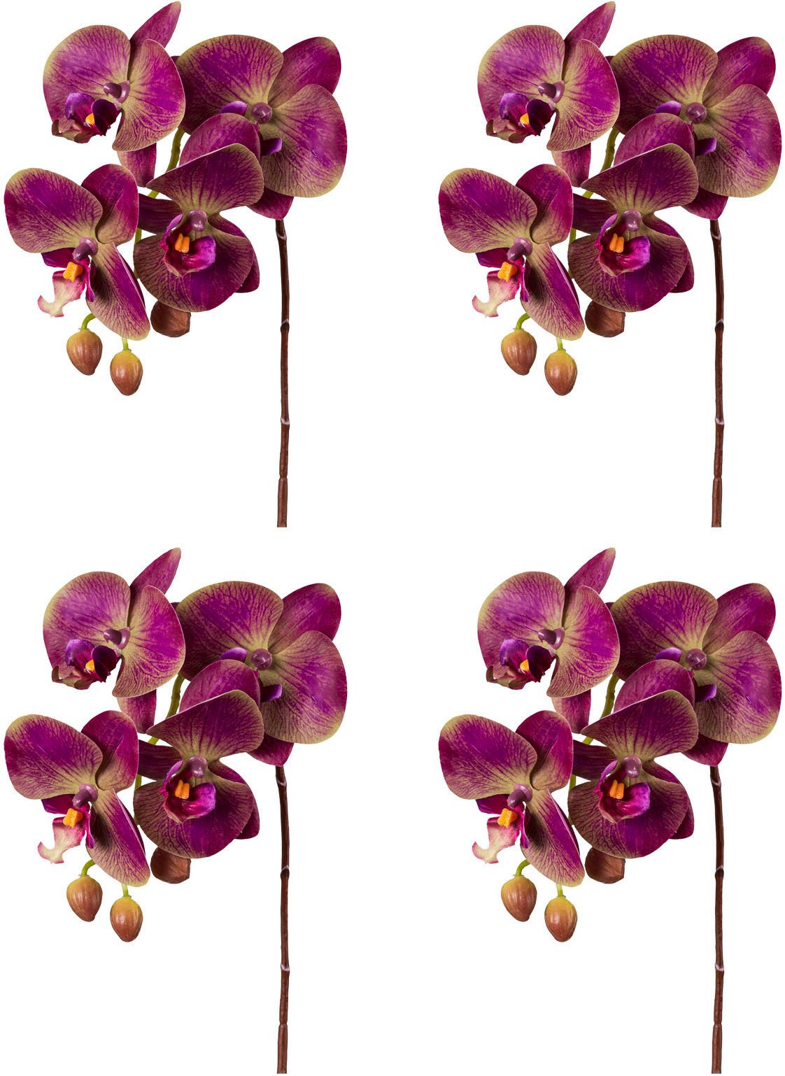 Kunstorchidee Orchidee Phalaenopsis Orchidee, Creativ green, günstig online kaufen