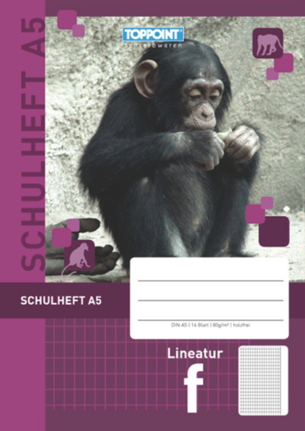 Stylex Schreibwaren Schulheft Schulheft DIN A5 Lineatur F