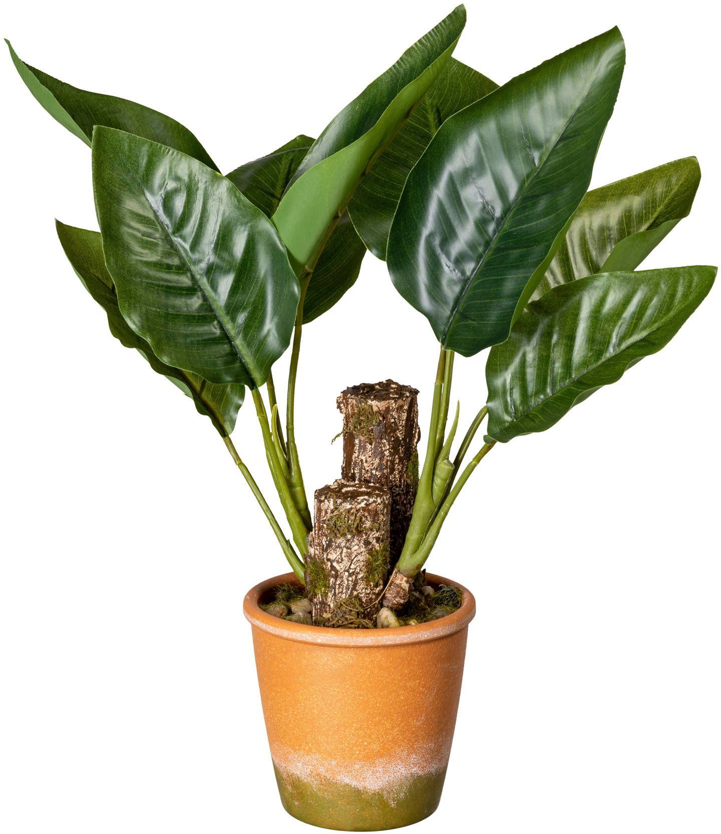 Künstliche 45 Blattpflanze Höhe Creativ green, Zimmerpflanze im Paperpot cm, Canna,