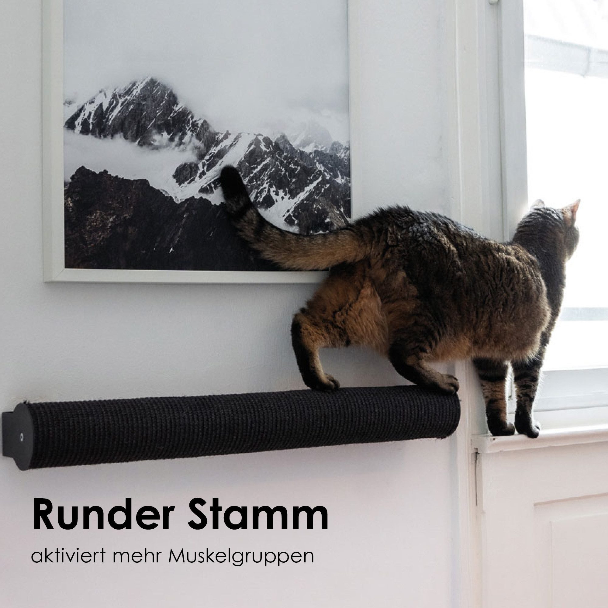 LucyBalu Kratzsäule CATWALK Kratzstamm, (für Katzen, zur Krallenpflege), Kratzstamm austauschbar
