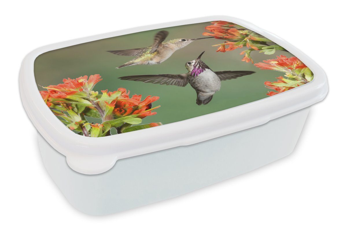 MuchoWow Lunchbox Kolibri - Blumen - Orange, Kunststoff, (2-tlg), Brotbox für Kinder und Erwachsene, Brotdose, für Jungs und Mädchen weiß