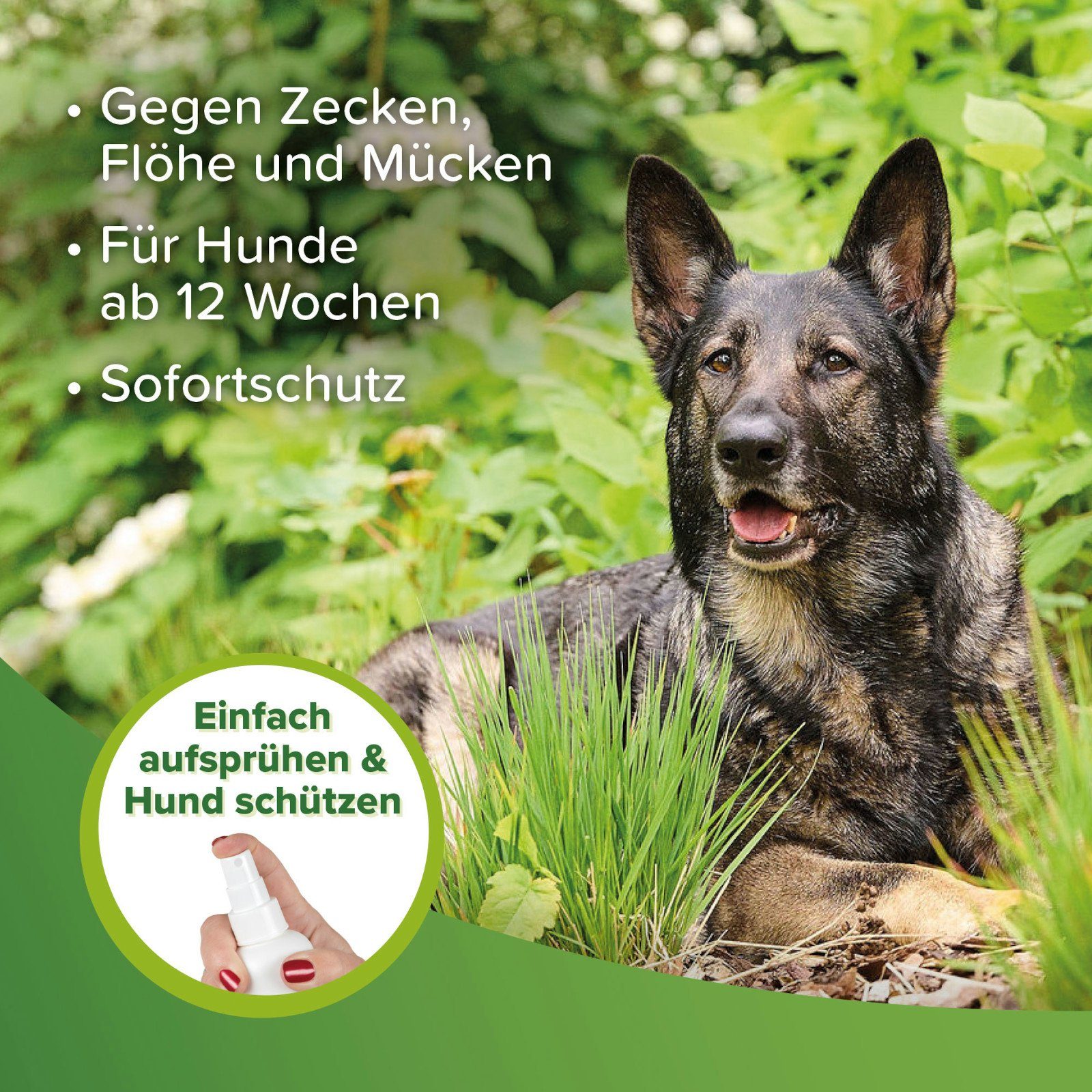 beaphar Zeckenschutzmittel Zecken- und Flohschutz Spray für Hunde - 150 ml, 150 ml