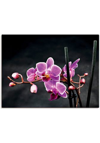 Artland Paveikslas »Eine Orchidee vor schwarze...