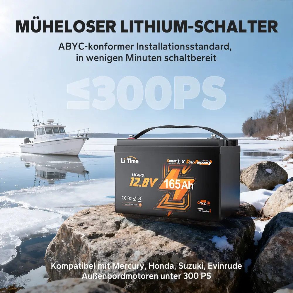 LiTime 12V 165Ah Dual-Purpose LiFePO4-Batterie Bluetooth IP67 Solarakkus (12 V), Mit 1200 CCA und Selbstheizung für Außenbordmotor Boot Marine