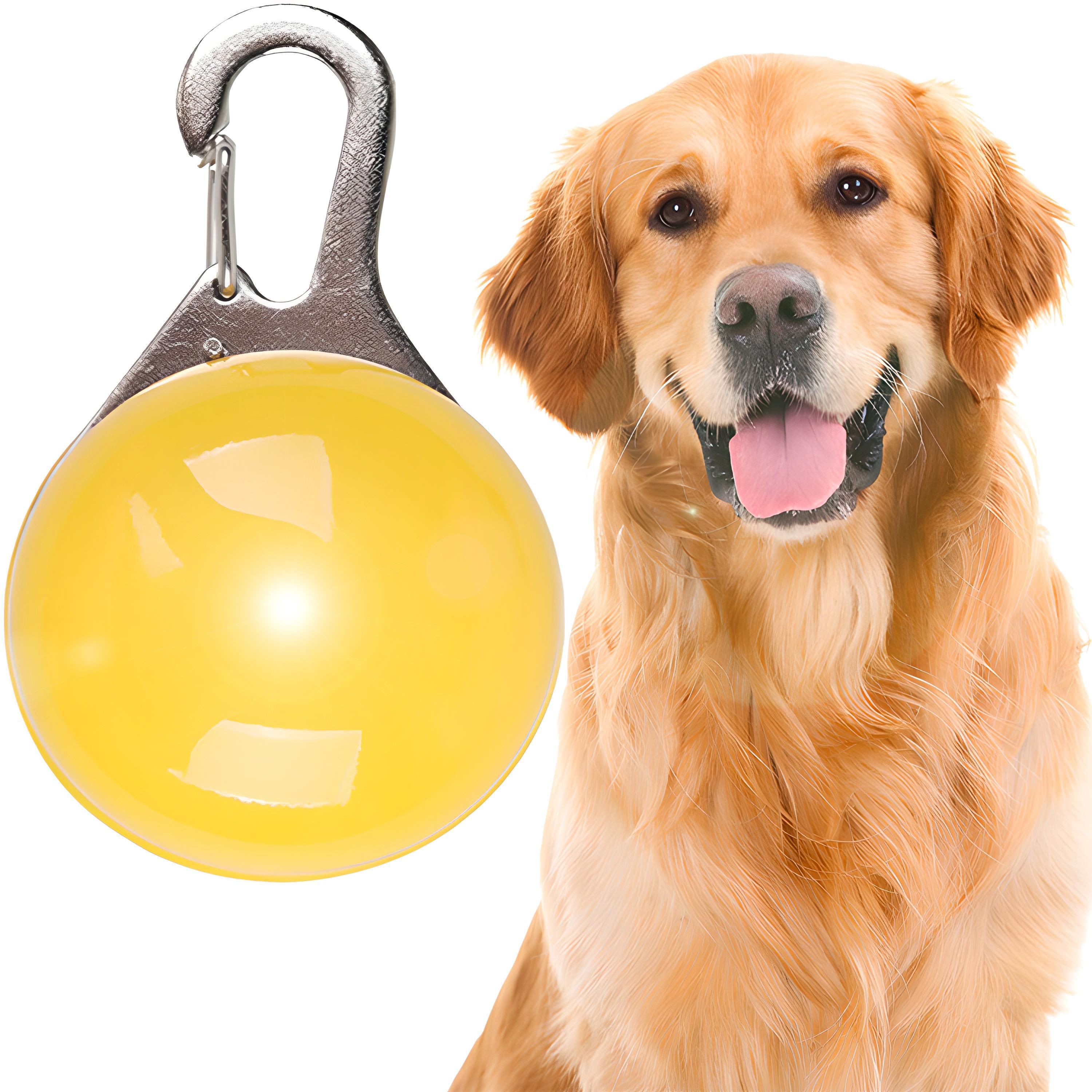 Retoo Hunde-Sicherheitsgeschirr Leuchtanhänger Hunde Leuchthalsband Led Hundehalsband Led Anhänger, Einfach zu bedienen, Verbessert die Sichtbarkeit Ihres Haustiers