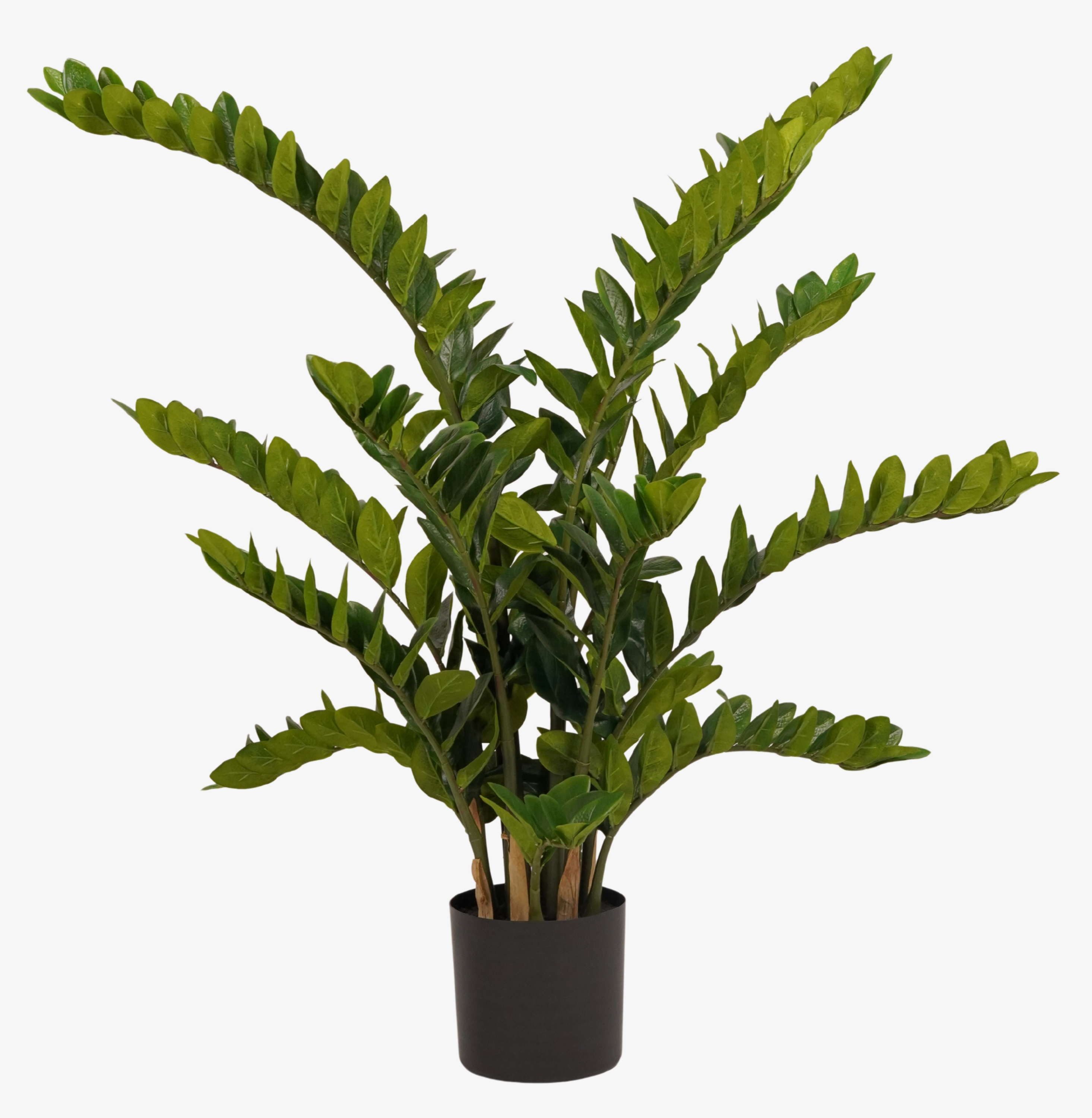 Künstliche Zimmerpflanze Deko Pflanze Zamioculcas