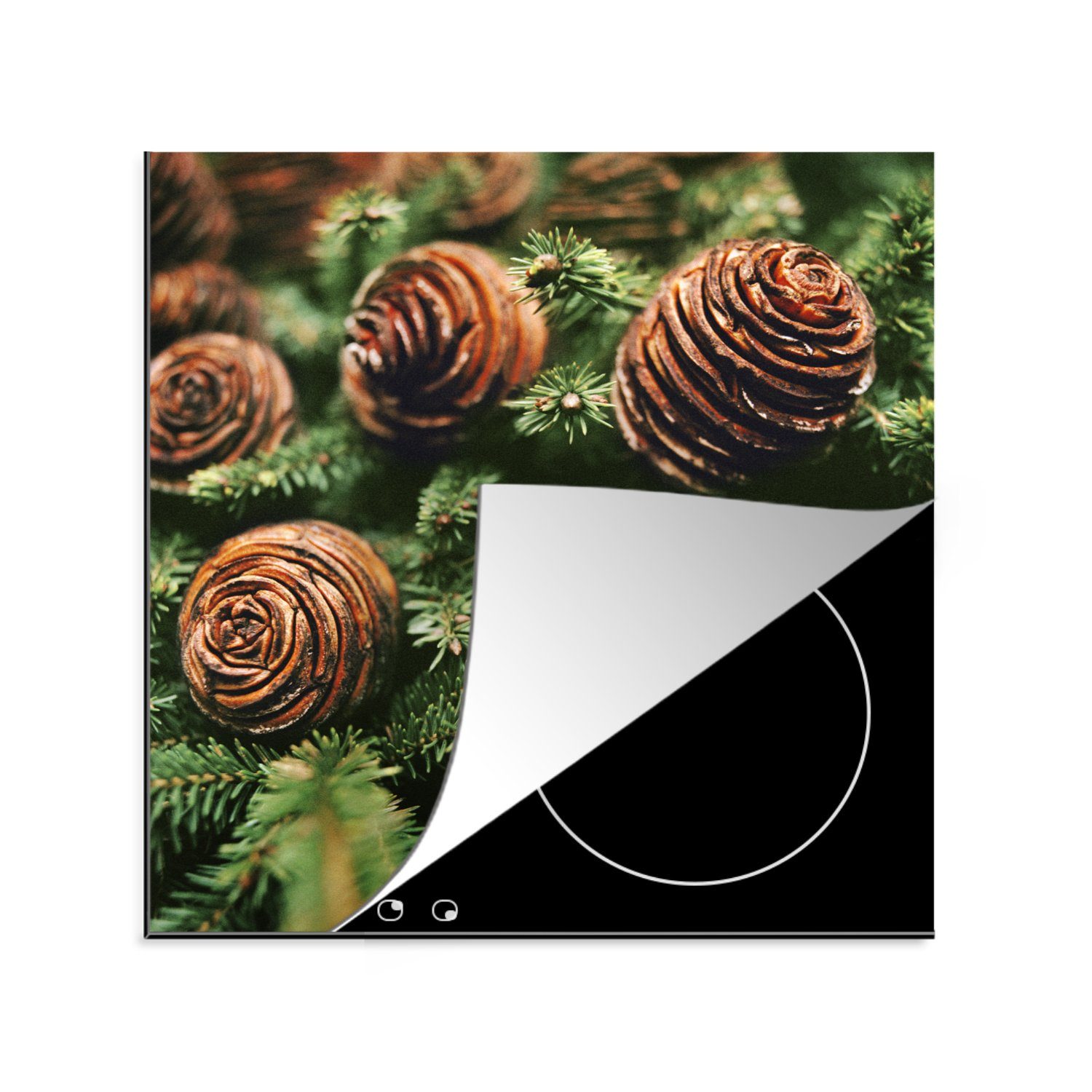 78x78 tlg), von Eine für (1 Ceranfeldabdeckung, Tannenzapfen Herdblende-/Abdeckplatte am MuchoWow cm, küche Vinyl, Arbeitsplatte Nahaufnahme Weihnachtsbaum,