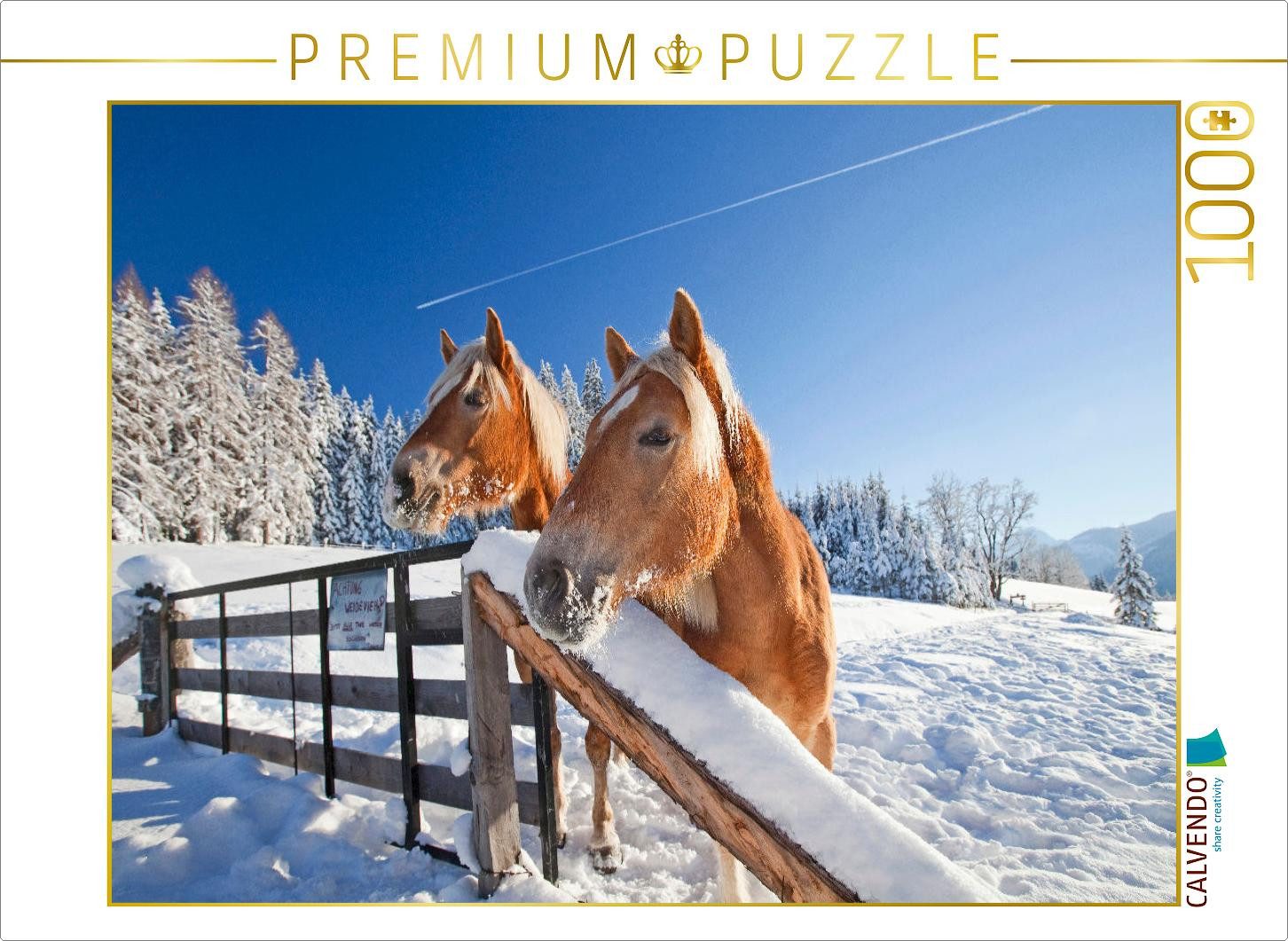 CALVENDO Puzzle CALVENDO Puzzle Neugierige Pferde in Flachau, 1000 Teile Lege-Größe 6, 1000 Puzzleteile