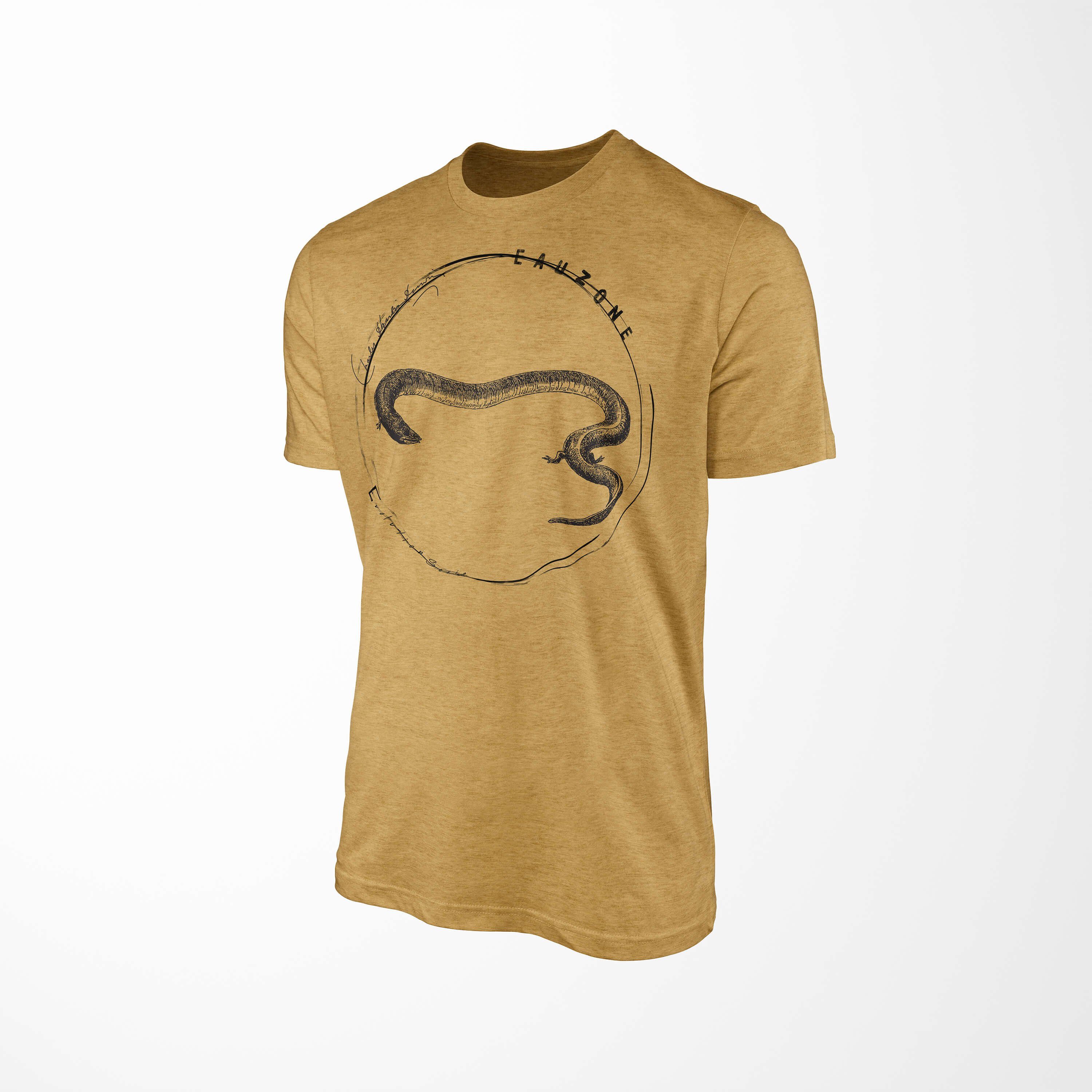 T-Shirt T-Shirt Herren Antique Gold Art Amphia Evolution Sinus