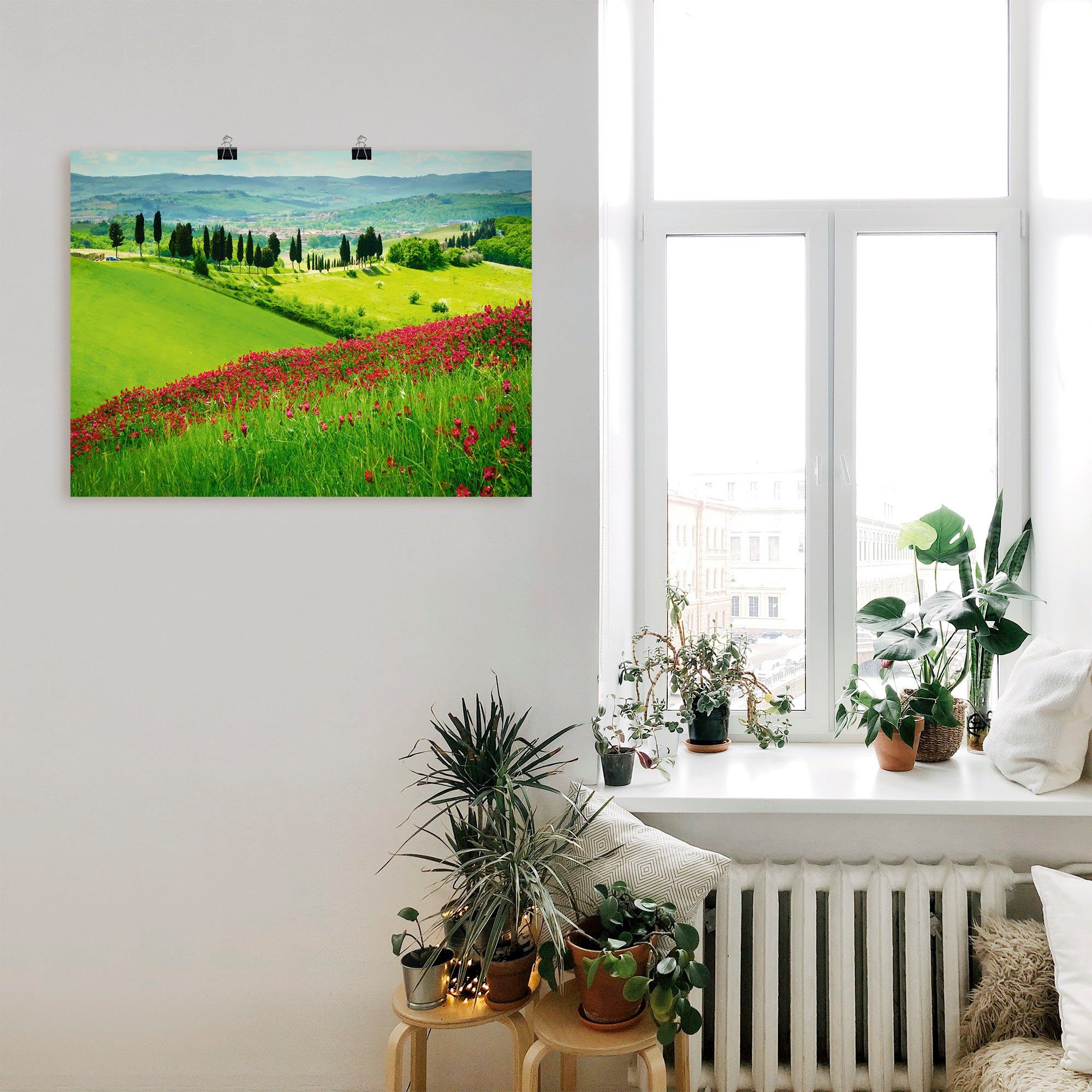 Alubild, versch. Zypressen, Wandaufkleber Größen Artland als Poster (1 Felder und St), Hügel in oder Wandbild Leinwandbild,