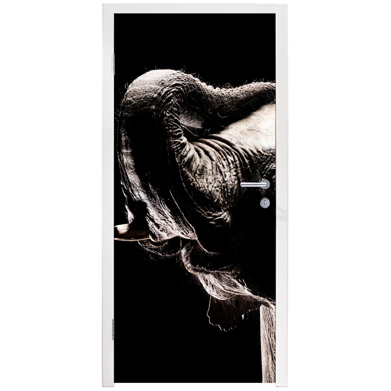 Porträt, - Tiere MuchoWow Matt, St), Elefant cm für Türtapete 75x205 Tür, bedruckt, (1 Schwarz Türaufkleber, - - Fototapete