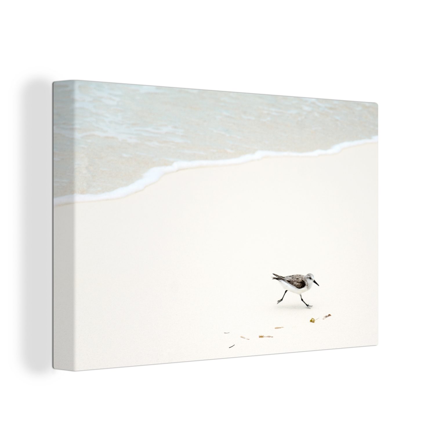 St), Vögel (1 Wandbild Leinwandbilder, OneMillionCanvasses® cm - Aufhängefertig, - 30x20 Meer, Wanddeko, Strand Leinwandbild