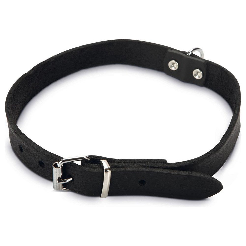 Beeztees Hunde-Halsband Hundehalsband Leder schwarz