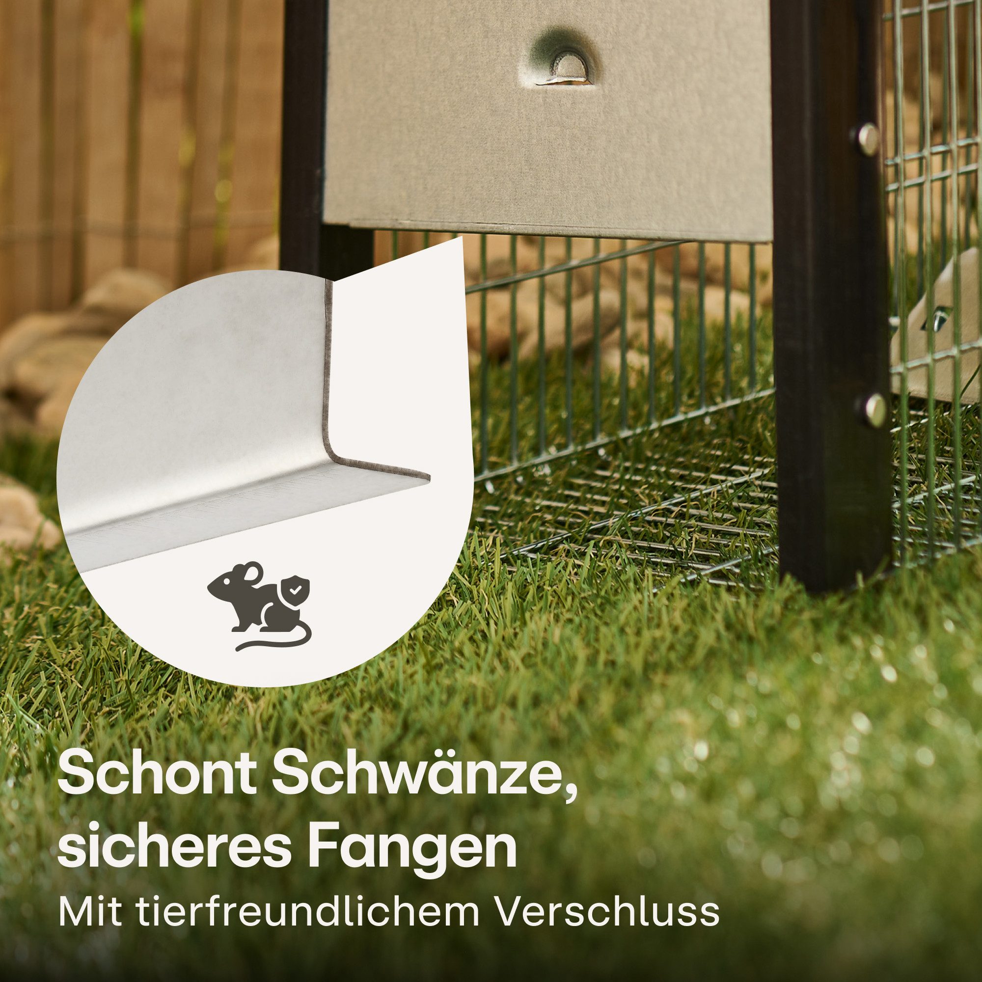 Praknu Lebendfalle XXL Lebendfalle für Ratten, Siebenschläfer und Nagetiere, Extra Groß 41 cm - Wiederverwendbar - Sofort Einsatzbereit