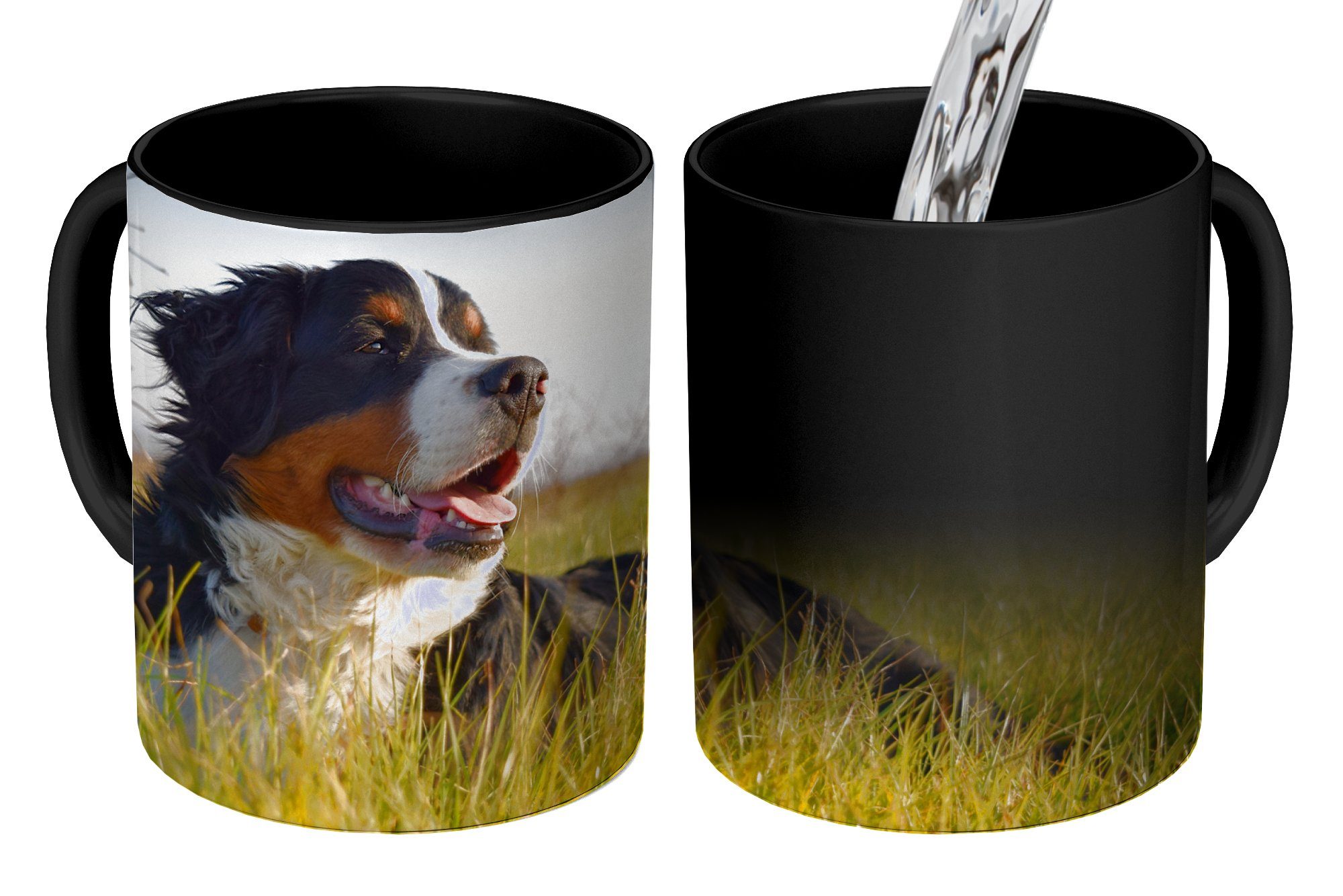 MuchoWow Tasse Berner Sennenhund im Gras liegend, Keramik, Farbwechsel, Kaffeetassen, Teetasse, Zaubertasse, Geschenk