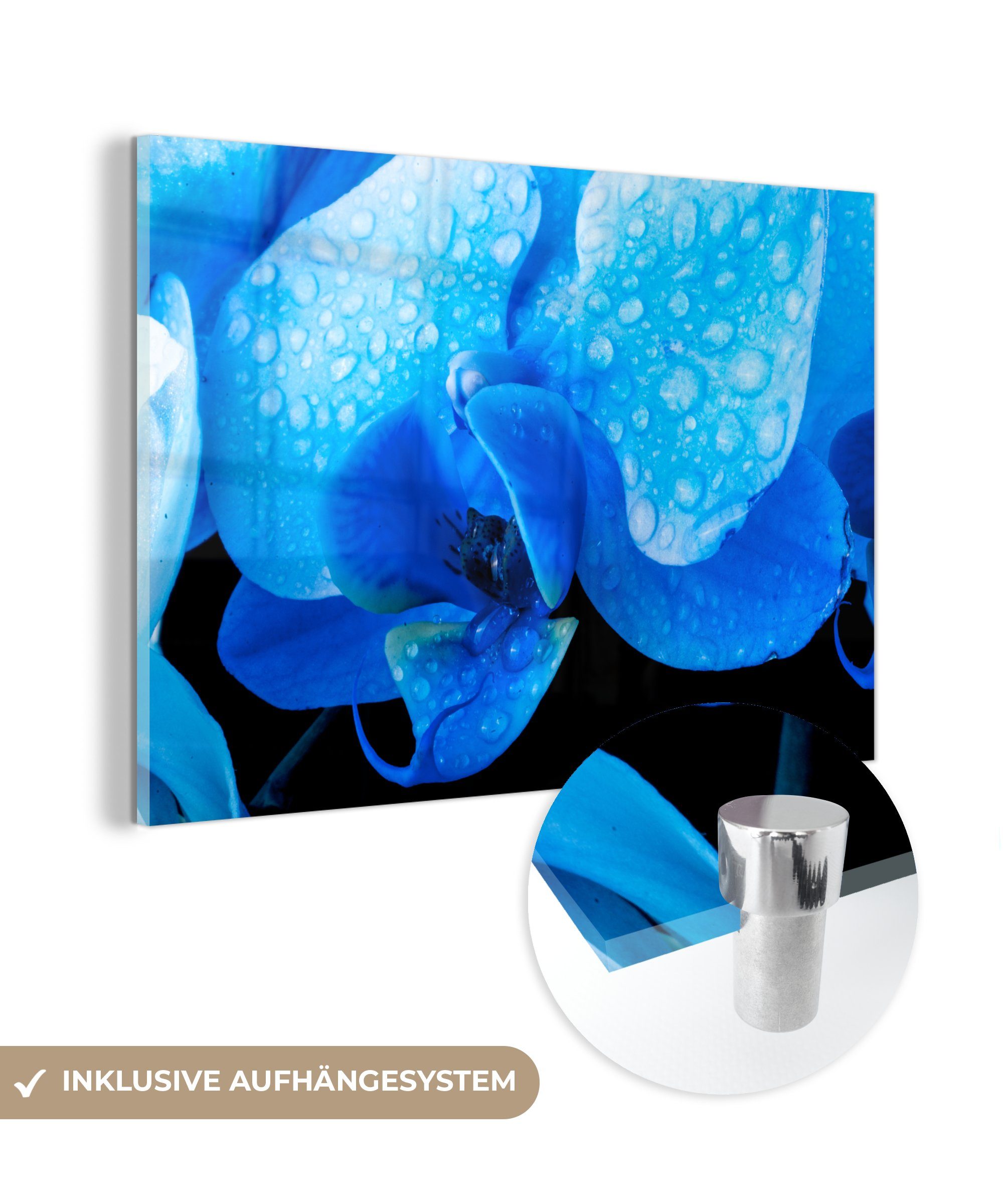 MuchoWow Acrylglasbild Nahaufnahme einer blauen Orchidee mit Wassertropfen, (1 St), Acrylglasbilder Wohnzimmer & Schlafzimmer