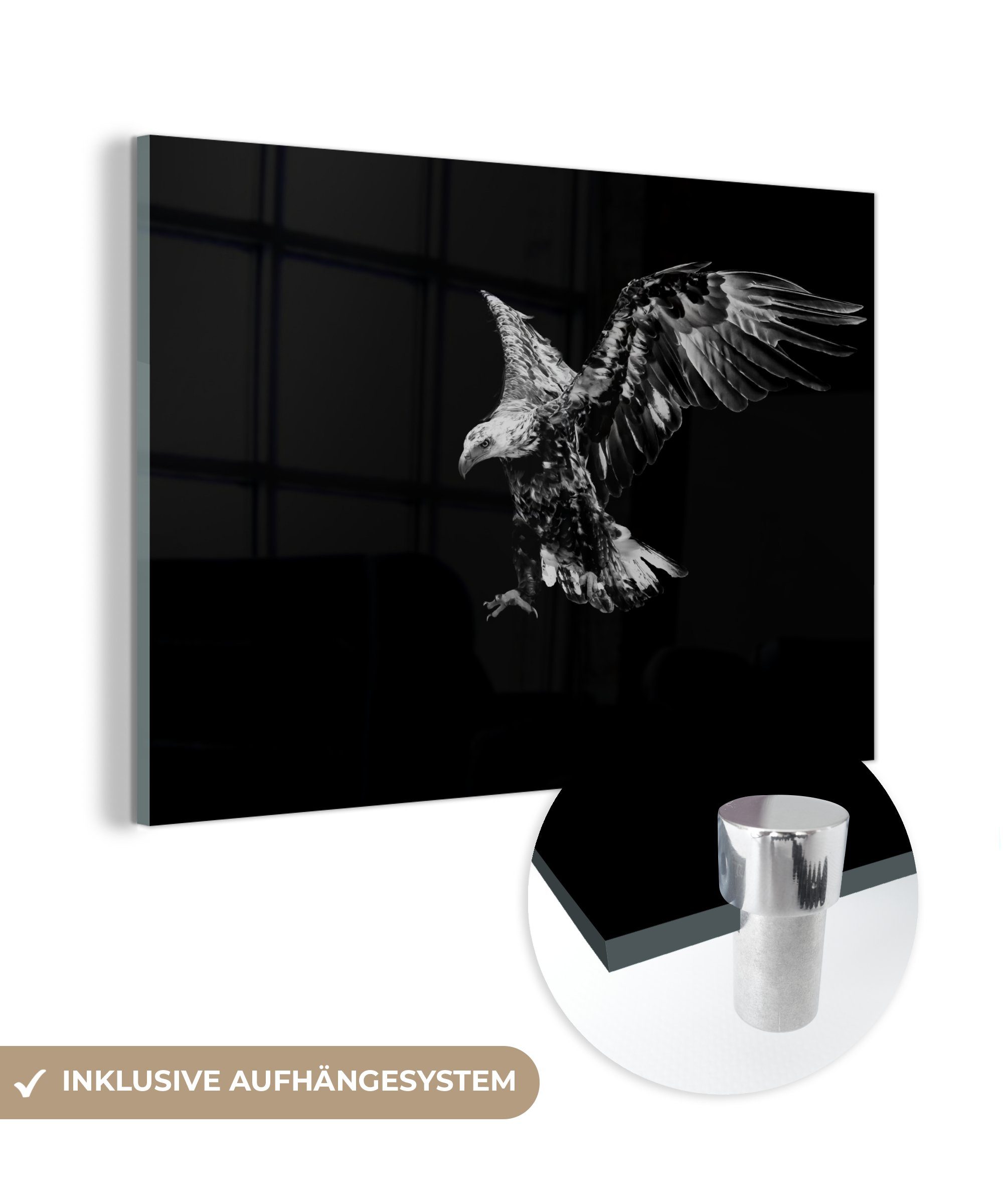 MuchoWow Acrylglasbild Eagle dark - schwarz und weiß, Inkl. Aufhängung, Glasbilder Wohnzimmer, Schlafzimmer, Flur & Esszimmer, 30x20 cm