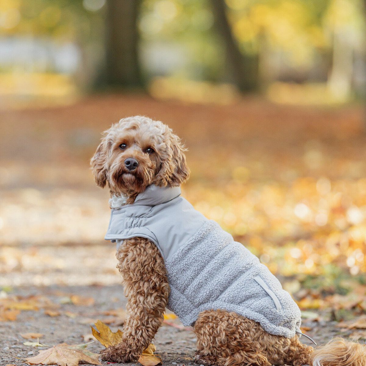 TRIXIE Hundemantel Wintermantel Ajou grau