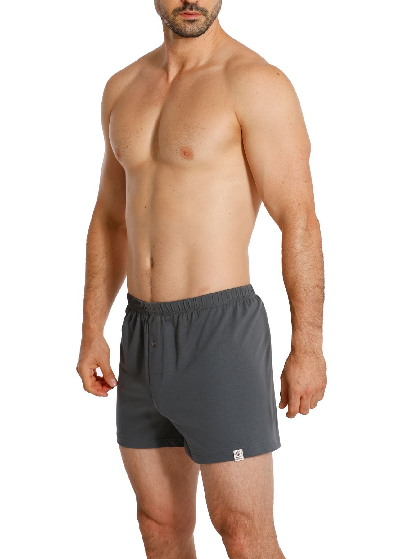 HAASIS Bodywear 1919 Boxershorts Herren Jersey Boxer 77224453-mittelgrau (Packung, 1-St., 2er Pack) Bedruckte Jersey-Boxer, Knopfleiste