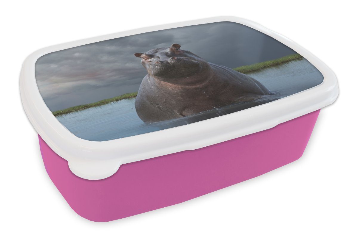 MuchoWow Lunchbox Nilpferd - Wasser - Wolken, Kunststoff, (2-tlg), Brotbox für Erwachsene, Brotdose Kinder, Snackbox, Mädchen, Kunststoff rosa