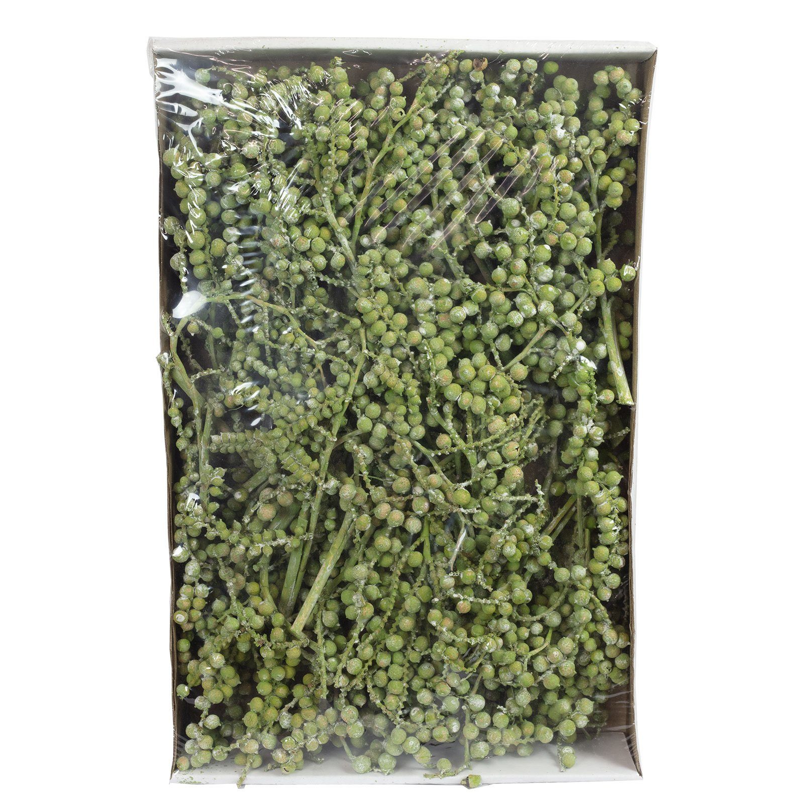 Vosteen - Stück/Box Trockenblume - frost-grün, normal 40 Canella