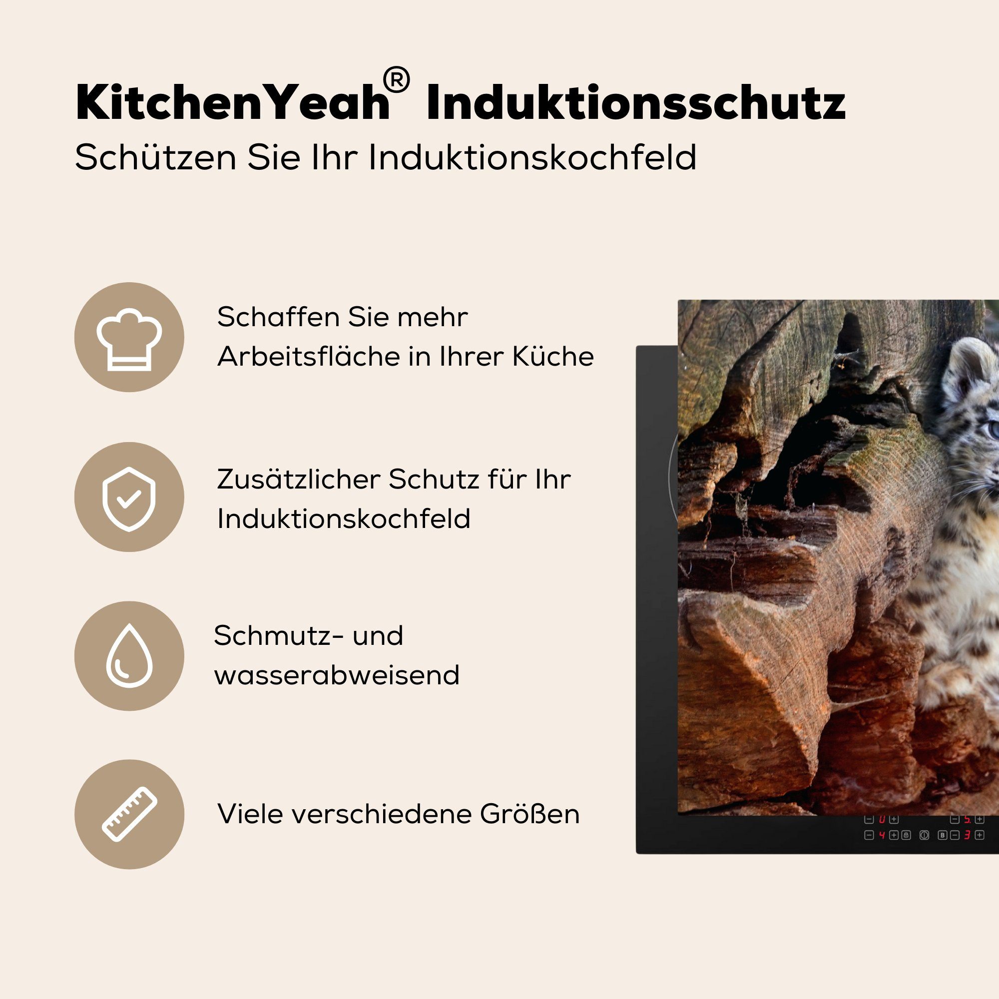 küche, - Induktionskochfeld Schneeleopard Schutz cm, die für Herdblende-/Abdeckplatte (1 Klein Vinyl, 81x52 - Ceranfeldabdeckung tlg), Baum, MuchoWow