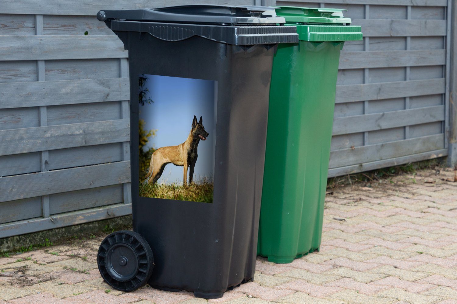 Abfalbehälter Malinois-Schäferhund (1 St), über MuchoWow Container, Blauer dem Wandsticker Mülltonne, Sticker, Himmel Mülleimer-aufkleber,