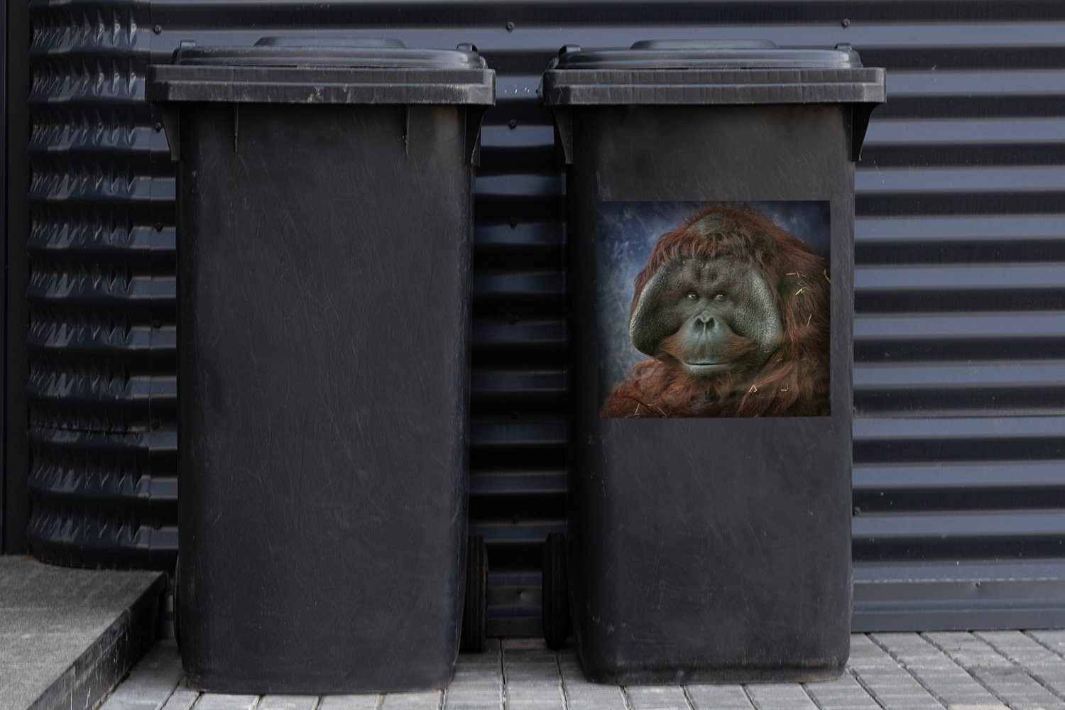 MuchoWow Wandsticker Eine Nahaufnahme Abfalbehälter (1 St), Orang-Utans eines Container, Mülltonne, Sticker, Mülleimer-aufkleber