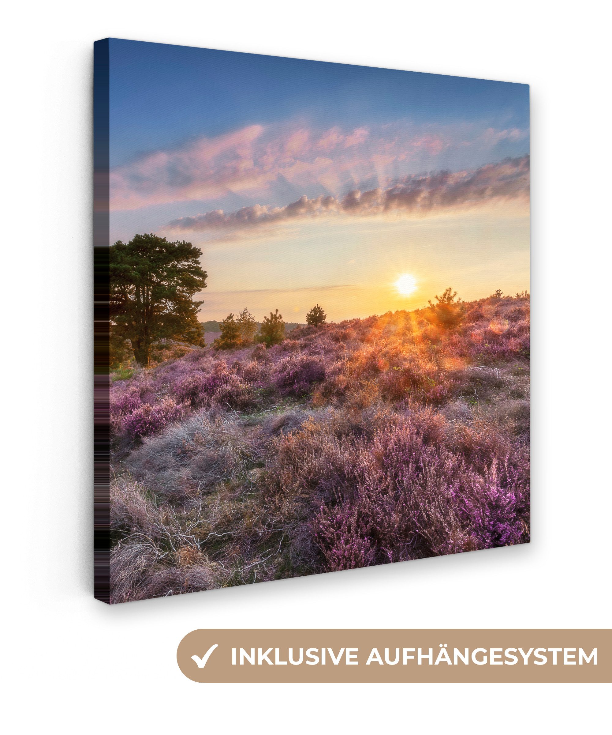 OneMillionCanvasses® Leinwandbild Heide bei Sonnenuntergang, Fotodruck (1 St), Wandbild, Deko Schlafzimmer Wohnzimmer Flur 20x20 cm