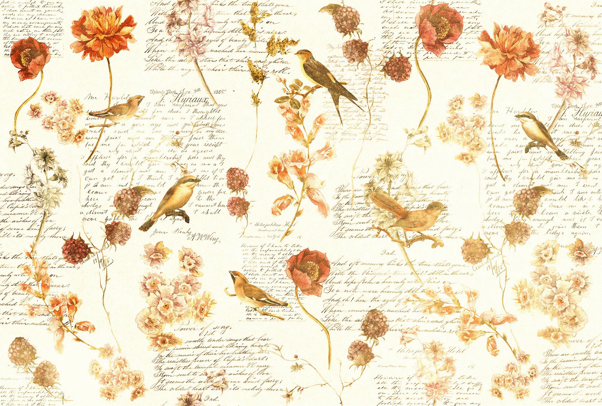 Architects Paper Fototapete Atelier 47 Bird Poetry 1, glatt, floral, (4 St), Vlies, Wand, Schräge, Decke