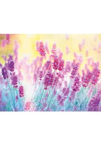 Papermoon Fototapetas »Lavender Flower« glatt
