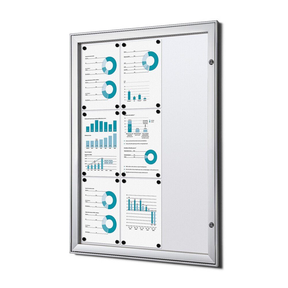 Hängevitrine für Innen und Außen SCS - 9x DIN A4 - B1 geprüft - Aluminium - Silber