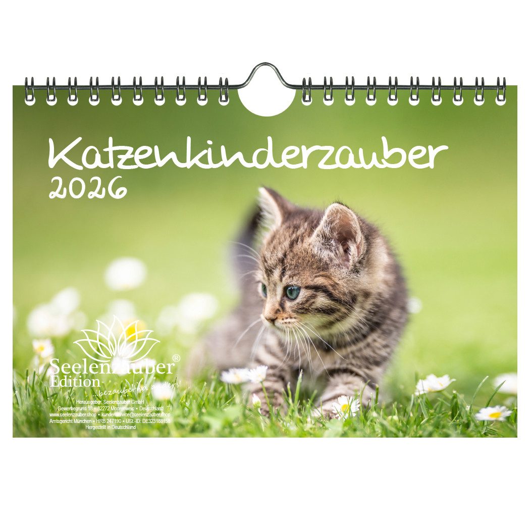 Seelenzauber Настенный календарь Katzenkinderzauber DIN A5 Календари für 2026 Katzenkinder Katzenbabys