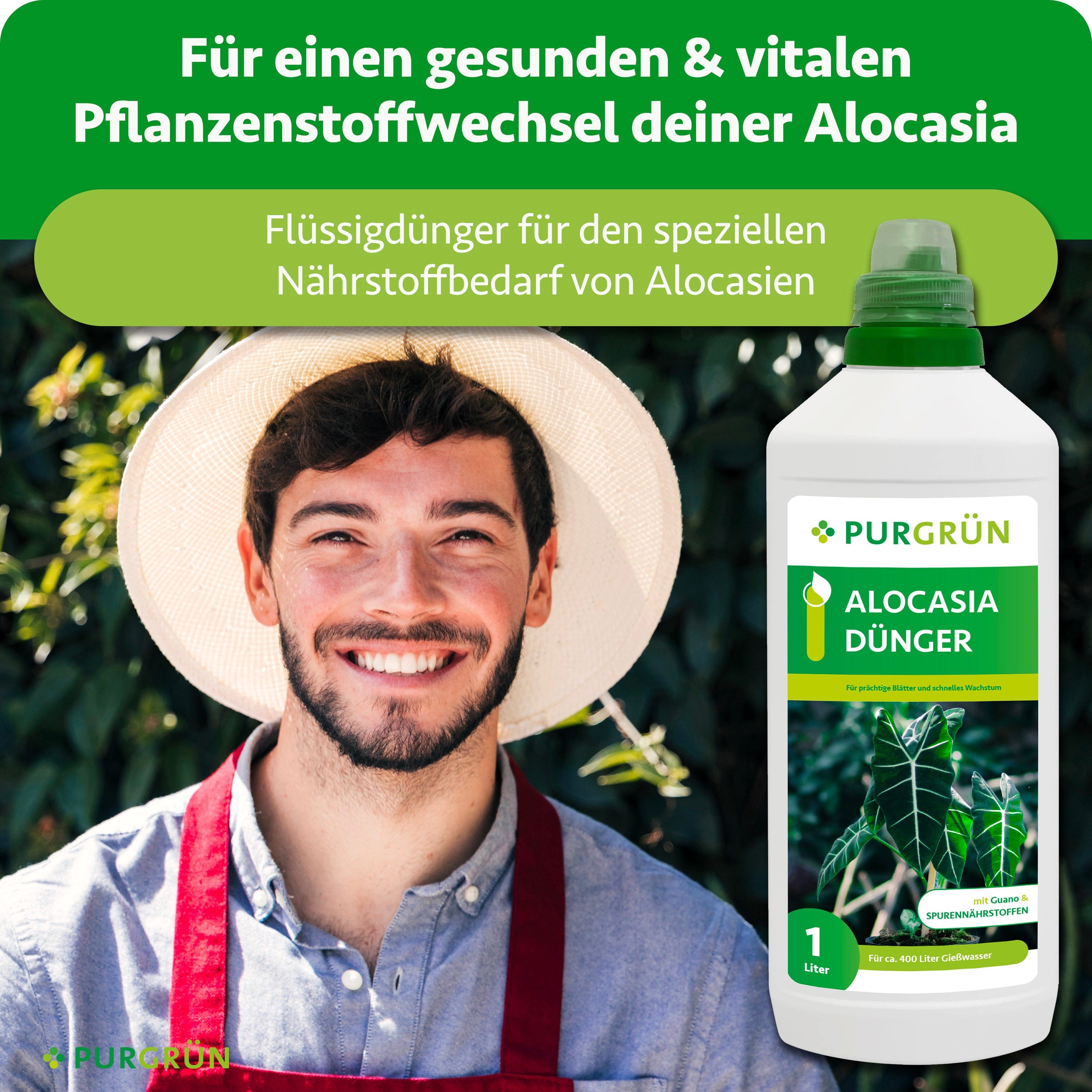 Purgrün Universaldünger Purgrün Alocasia Dünger, NPK günstig online kaufen